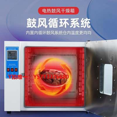 烤箱乾宛電熱恒溫鼓風干燥箱工業大燈高溫烘箱烤箱室高溫烘干機箱