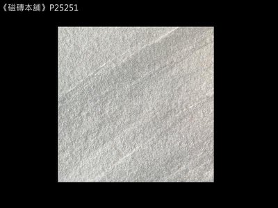 《磁磚本舖》數位噴墨 P25251 25x25公分 淺灰色止滑石英磚 多模面 廁所 陽台 騎樓 地磚 台灣製