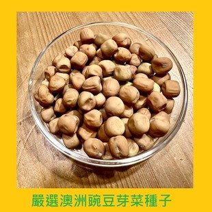 台灣PIH嚴選-豌豆/碗豆苗芽菜專用種子 150ml-防潮袋-澳洲-種子花苗