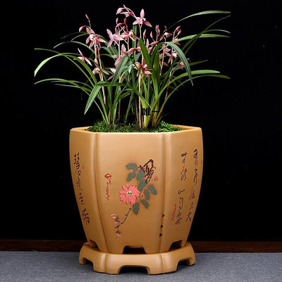 花盆紫砂蘭花專用盆手工陶瓷盆景花瓶精品綠植古典蘭花君子蘭家用花盆盆栽