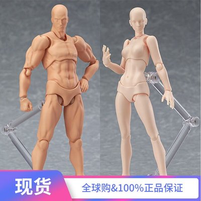 【爆款熱賣】日版 MF figma archetype next 男女 肉色 可動 繪畫模型素體
