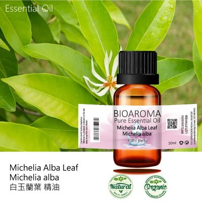 【芳香療網】Michelia Alba Leaf - michelia alba 白玉蘭葉精油 10ml