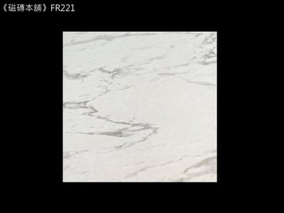 《磁磚本舖》FR221 白底銀狐紋止滑地磚 20x20cm 浴室地磚 止滑地磚 臺灣製造