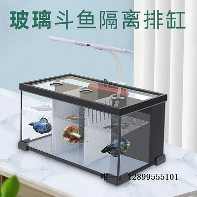 玻璃魚缸泰國斗魚缸玻璃多格排隔離缸加溫背過濾免換水維護生態缸桌面小型水族箱
