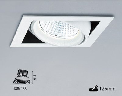 舞光商業照明 12W LED 高演色盒燈-25129 單燈 崁孔125MM 可調角度 三種色溫可選擇 全電壓