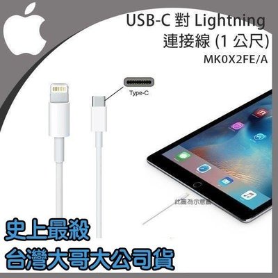【台灣大哥大代理】蘋果 iPhone12 13 11 Pro Max Mini iPhone11 原廠充電線 傳輸線