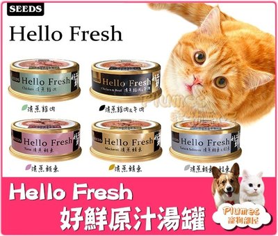 【Plumes寵物部屋】Hello Fresh《 好鮮 原汁湯罐 50g 》SEEDS 惜時 清蒸湯罐 貓湯罐 貓罐頭