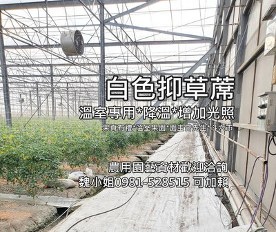 ✌️白色雜草抑制蓆⭕️1尺-6尺 可貨到付款 溫室專用台灣製造現貨供應降溫增加光照白色地膜玉女美濃瓜