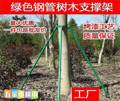 樹木支撐架鍍鋅鋼管園林綠化防風大樹支撐桿金屬鐵抱箍固定【飛女】