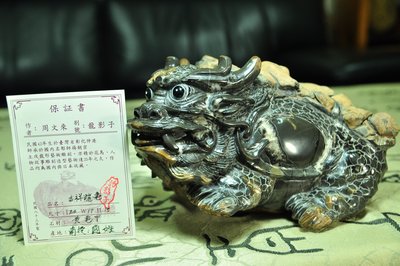 龍影子  周文來 老師  台灣國寶級石雕創作者  目前全台灣最大一件作品 (黃金龍龜)  傳家寶/參展等級