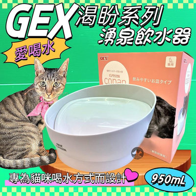 💥CHOCO寵物💥日本GEX 貓用 渴盼貓用飲水器 白色 950ml/組 寵物飲水器 陶瓷 循環 飲水器 愛喝水 貓 喝水