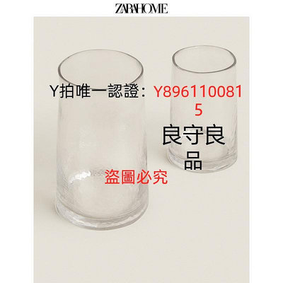 花瓶 Zara Home INS風透明玻璃不規則管狀小資客廳插花瓶 41325046990