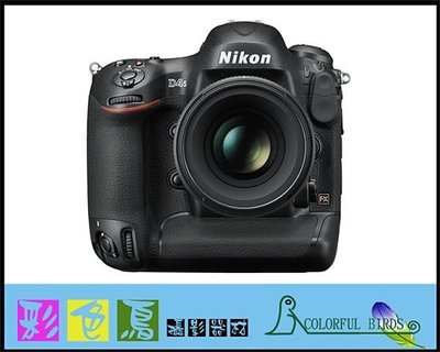 彩色鳥（相機 鏡頭出租 租相機 租鏡頭）租 Nikon D4S + Nikon AF-S 24-70mm f2.8 D4