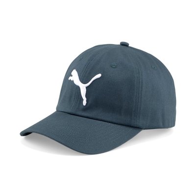 [MR.CH]Puma 帽子 Essentials 男女款 藍 老帽 棒球帽 鴨舌帽 基本款 02458705