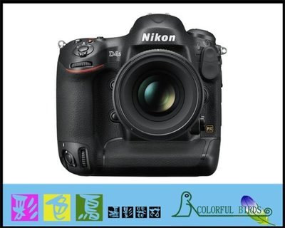 彩色鳥（相機出租 租相機 鏡頭出租 租鏡頭）租 Nikon D4S + Nikon AF-S 16-35mm F4 VR 出租 D4