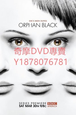 DVD 2013年 黑色孤兒第一季/Orphan Black 歐美劇