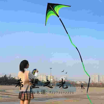 特技風箏大風箏人專用大型立體超大年新款大微風易飛高端網紅特技風箏
