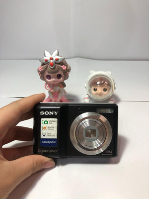 索尼/Sony DSC-S2000 便攜CCD卡片相機