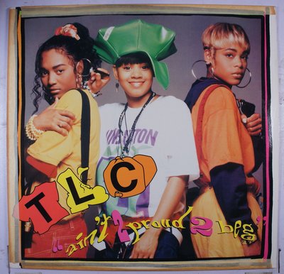 《二手美版單曲黑膠》TLC – Ain't 2 Proud 2 Beg