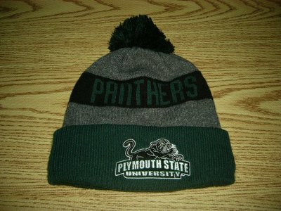 缺貨 NCAA毛帽 NEW ERA Plymouth State Panthers 綠色 灰色