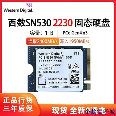 溜溜雜貨檔【 保固 低價】WD/西數 SN530 M.2 2230 SSD固態硬碟PCIE4.0x4 NVMe 256G/5