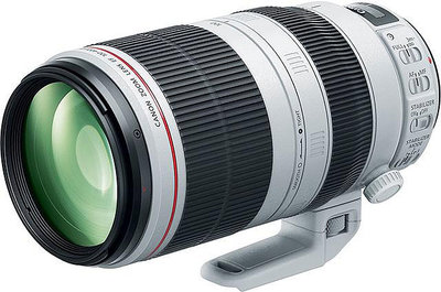 相機鏡頭武漢相機出租佳能EF100-400二代防抖大白兔超長焦鏡頭攝影器材租