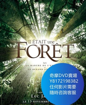 DVD 海量影片賣場 从前有座森林/Once Upon a Forest  紀錄片 2013年