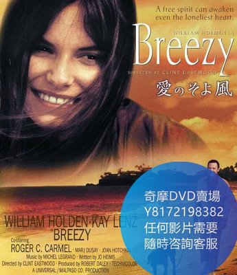 DVD 海量影片賣場 春花秋月未了情/Breezy  電影 1973年