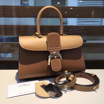 44：Delvaux brillant拼色28