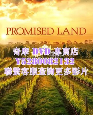 DVD 影片 專賣 歐美劇 名釀家族/Promised Land 2022年