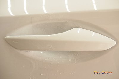 Dr. Color 玩色專業汽車包膜 Lexus NX300h 細紋自體修復透明犀牛皮_門碗 / 門踏板