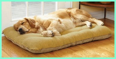 [熊大](L號)加大款狗床睡墊 貓睡墊 羊羔絨麂皮絨 中大型犬專用 寵物屋/寵物窩/貓窩/狗窩/貓床/狗床/睡墊/軟墊