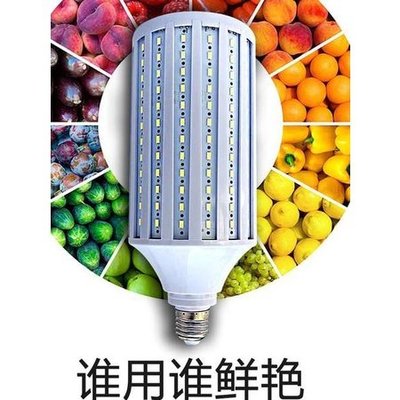 現貨 直流led燈泡DC12v玉米燈夜市電瓶燈太陽能路燈擺攤戶外24伏低壓燈-一點點