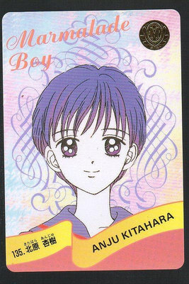 《CardTube卡族》(060930) 135 日本原裝橘子醬男孩 PP萬變卡∼ 1995年遊戲普卡