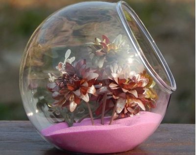 小號13.5cm微景觀斜口玻璃瓶 多肉植物玻璃花盆 苔蘚微景觀DIY 創意迷你植物綠植盆栽手工製作