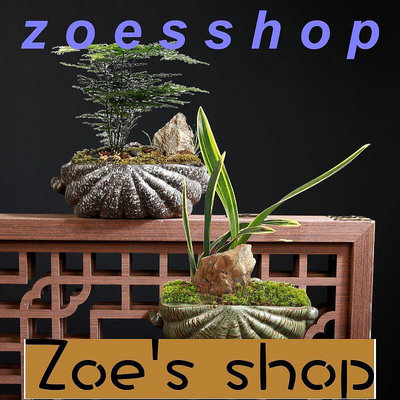 zoe-花器 種植盆 創意客廳墻上壁掛花盆綠蘿半壁免打孔掛式掛墻陽臺懸掛式擺件