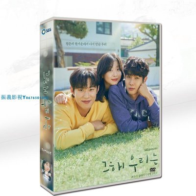 韓劇韓語《那年，我們的夏天》崔宇植 / 金多美9碟TV+OST日文字幕『振義影視』