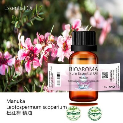 【芳香療網】Manuka - Leptospermum scoparium 松紅梅精油 10ml