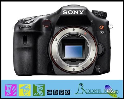 彩色鳥 (鏡頭出租 相機出租) Sony 70-400mm F4-5.6 G SSM a77 a65 a37 a99