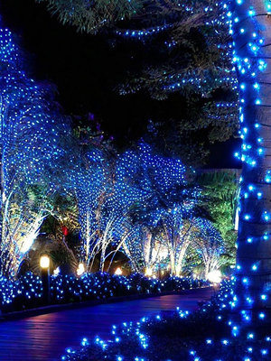 聖誕裝飾 聖誕禮物掛樹上的彩燈閃燈串燈滿天星樹燈景觀燈戶外燈帶led燈條氛圍防水