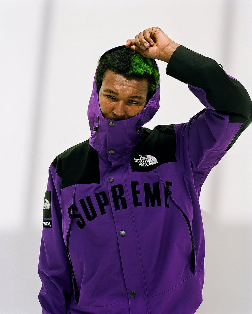 the north face supreme ss19