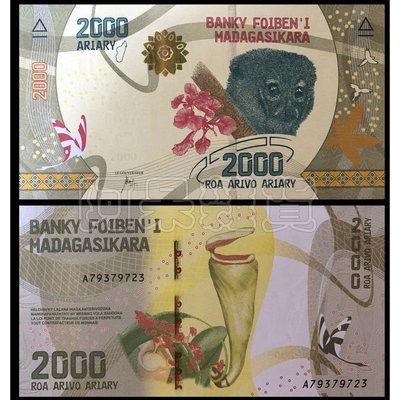 森羅本舖 現貨實拍 海龜 馬達加斯加 2000元 2017年 狐猴 野生動物 五色錢 鈔票 紙鈔 錢幣 具收藏價值商品