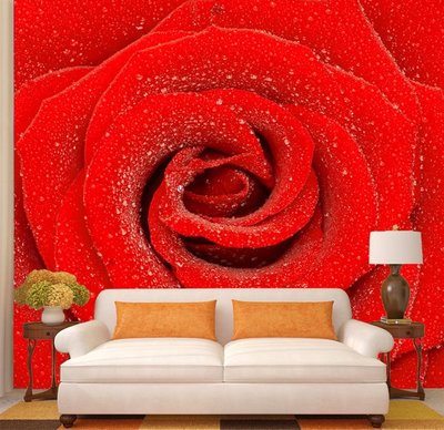 客製化壁貼 編號F-522 紅玫瑰花 壁紙 牆貼 牆紙 壁畫