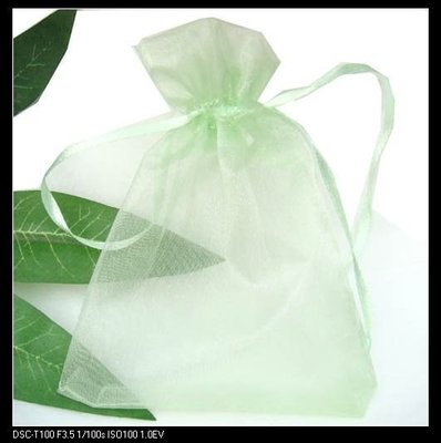 ＊結婚小禮＊素面果綠雪紗袋~9*12耶誕節禮品包裝袋.糖果袋.喜糖盒.束口袋.送客禮~訂作