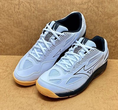 Maple 美津濃 MIZUNO 排球鞋 V1GA238054 男女段 CYCLONE SPEED 4 正品 公司貨 止滑