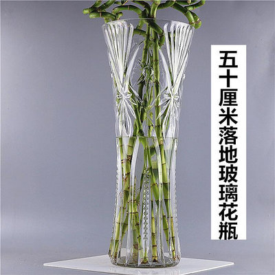 特大號花瓶玻璃透明大口徑高50cm插花大號客廳擺件水培富貴竹落地_林林甄選
