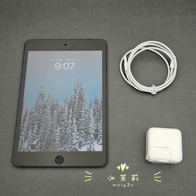 【高雄現貨】iPad mini 5 Wi-Fi 64G 太空灰 A12 mini5 台灣 蘋果 7.9吋 Apple