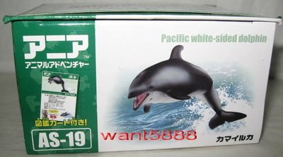 日本TAKARATOMY ANIA 探索動物 多美動物園 AS-19海豚 嘴巴,尾巴可動,內付動物說明圖卡