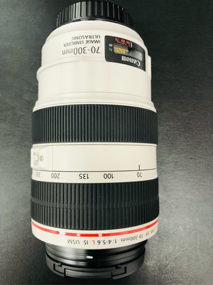 Canon EF 70~300mm f/4-5.6 L IS USM