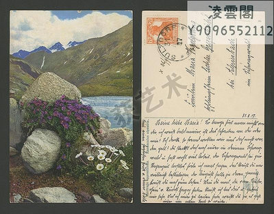 外國明信片 德1917年實寄挪威虎耳草阿爾卑斯毛茛一戰書信vintage明信片
